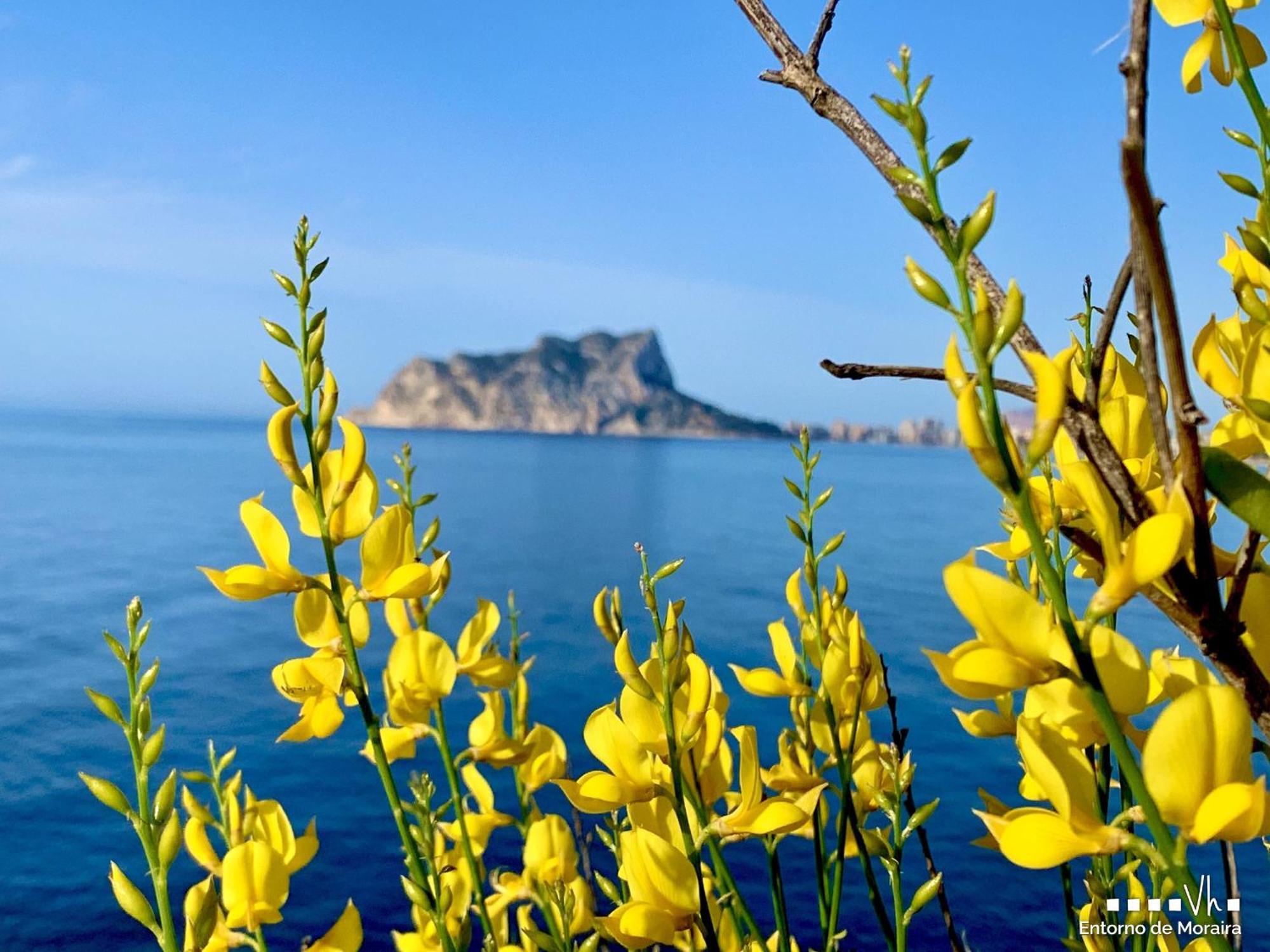 Vh Costablanca - Apartamento Riviera مورايرا المظهر الخارجي الصورة